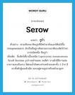 serow แปลว่า?, คำศัพท์ภาษาอังกฤษ serow แปลว่า กูรำ ประเภท N ตัวอย่าง ตามเทือกเขาหินปูนที่มีหน้าผาชันและมีต้นไม้ขึ้นปกคลุมพอสมควร มักเป็นที่อยู่อาศัยตามธรรมชาติของสัตว์ป่าหายากชนิดหนึ่ง คือกูรำ เพิ่มเติม ชื่อสัตว์เคี้ยวเอื้องชนิด Capricornis sumatraensis ในวงศ์ Bovidae รูปร่างคล้ายแพะ ขนสีดำ บางตัวมีสีขาวแซม ขายาวและแข็งแรง มีต่อมน้ำมันตรงส่วนหน้าของตาทั้ง 2 ข้าง มีเขาทั้งตัวผู้และตัวเมีย ชอบอยู่ตามภูเขาหรือหน้าผาสูงๆ หมวด N