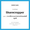 sharecropper แปลว่า?, คำศัพท์ภาษาอังกฤษ sharecropper แปลว่า ชาวนาที่เช่านาและจ่ายค่าเช่าด้วยผลผลิตที่ปลูกได้ ประเภท N หมวด N