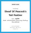 sheaf of peacock&#39;s tail feather แปลว่า?, คำศัพท์ภาษาอังกฤษ sheaf of peacock&#39;s tail feather แปลว่า มยุรฉัตร ประเภท N เพิ่มเติม เครื่องกั้นบังเป็นชั้นๆ ทำด้วยหางนกยูง เป็นเครื่องสูงใช้ในงานพิธีโสกันต์ หมวด N