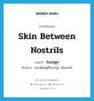 skin between nostrils แปลว่า?, คำศัพท์ภาษาอังกฤษ skin between nostrils แปลว่า ร่องจมูก ประเภท N ตัวอย่าง เขม่าติดอยู่ที่ร่องจมูก เช็ดออกสิ หมวด N