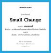 small change แปลว่า?, คำศัพท์ภาษาอังกฤษ small change แปลว่า เศษสตางค์ ประเภท N ตัวอย่าง เขาเพียงแค่เก็บเศษสตางค์จากกำไรค่าเช่า ก็พอกินไปจนตาย เพิ่มเติม เงินจำนวนเล็กน้อย, เงินปลีกย่อย หมวด N