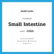 small intestine แปลว่า?, คำศัพท์ภาษาอังกฤษ small intestine แปลว่า สำไส้เล็ก ประเภท N หมวด N