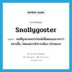 snollygoster แปลว่า?, คำศัพท์ภาษาอังกฤษ snollygoster แปลว่า คนที่มุ่งหาผลประโยชน์เพื่อตนเองมากกว่าอย่างอื่น, โดยเฉพาะนักการเมือง (คำสแลง) ประเภท N หมวด N