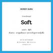 soft แปลว่า?, คำศัพท์ภาษาอังกฤษ soft แปลว่า เบา ประเภท ADJ ตัวอย่าง เขาพูดเสียงเบา เพราะกลัวลูกสาวสะดุ้งตื่น หมวด ADJ