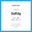 อ่อย ภาษาอังกฤษ?, คำศัพท์ภาษาอังกฤษ อ่อย แปลว่า softly ประเภท ADV เพิ่มเติม ค่อยๆ, เบาๆ หมวด ADV