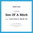 son of a bitch แปลว่า?, คำศัพท์ภาษาอังกฤษ son of a bitch แปลว่า บ้าจริง (คำหยาบ), ให้ตายซิ, ระยำ ประเภท SL หมวด SL