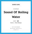 sound of boiling water แปลว่า?, คำศัพท์ภาษาอังกฤษ sound of boiling water แปลว่า ปุด ประเภท ADV ตัวอย่าง น้ำในกาเดือดปุด หมวด ADV