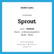 ทอดยอด ภาษาอังกฤษ?, คำศัพท์ภาษาอังกฤษ ทอดยอด แปลว่า sprout ประเภท V ตัวอย่าง เถาฟักทองทอดยอดไปยาว เพิ่มเติม เลื้อยไป หมวด V