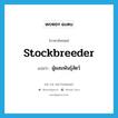 stockbreeder แปลว่า?, คำศัพท์ภาษาอังกฤษ stockbreeder แปลว่า ผู้ผสมพันธุ์สัตว์ ประเภท N หมวด N