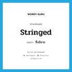 stringed แปลว่า?, คำศัพท์ภาษาอังกฤษ stringed แปลว่า ซึ่งมีสาย ประเภท ADJ หมวด ADJ