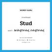 stud แปลว่า?, คำศัพท์ภาษาอังกฤษ stud แปลว่า สัตว์ตัวผู้ไว้ทำพันธุ์, ม้าตัวผู้ไว้ทำพันธุ์ ประเภท N หมวด N