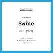 สุกร, หมู ภาษาอังกฤษ?, คำศัพท์ภาษาอังกฤษ สุกร, หมู แปลว่า swine ประเภท N หมวด N