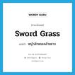 sword grass แปลว่า?, คำศัพท์ภาษาอังกฤษ sword grass แปลว่า หญ้าลักษณะคล้ายดาบ ประเภท N หมวด N