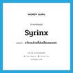 syrinx แปลว่า?, คำศัพท์ภาษาอังกฤษ syrinx แปลว่า อวัยวะส่วนที่ส่งเสียงของนก ประเภท N หมวด N