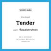 tender แปลว่า?, คำศัพท์ภาษาอังกฤษ tender แปลว่า ที่แสดงถึงความรักใคร่ ประเภท ADJ หมวด ADJ