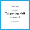 tenpenny nail แปลว่า?, คำศัพท์ภาษาอังกฤษ tenpenny nail แปลว่า ตะปูยาว 3 นิ้ว ประเภท N หมวด N