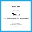 tern แปลว่า?, คำศัพท์ภาษาอังกฤษ tern แปลว่า นกทะเลในสกุล Sterna คล้ายนกนางนวล ประเภท N หมวด N