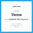 thrive แปลว่า?, คำศัพท์ภาษาอังกฤษ thrive แปลว่า เจริญเติบโตดี, (ต้นไม้) เจริญงอกงาม ประเภท VI หมวด VI