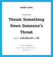 thrust something down someone&#39;s throat แปลว่า?, คำศัพท์ภาษาอังกฤษ thrust something down someone&#39;s throat แปลว่า บังคับให้ยอมรับ / เชื่อ ประเภท IDM หมวด IDM