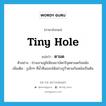 tiny hole แปลว่า?, คำศัพท์ภาษาอังกฤษ tiny hole แปลว่า ตามด ประเภท N ตัวอย่าง ช่างเอาอลูมิเนียมมาบัดกรีอุดตามดก้นหม้อ เพิ่มเติม รูเล็กๆ ที่น้ำซึมออกได้อย่างรูรั่วตามก้นหม้อเป็นต้น หมวด N