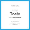 tocsin แปลว่า?, คำศัพท์ภาษาอังกฤษ tocsin แปลว่า สัญญาณเตือนภัย ประเภท N หมวด N