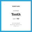 tooth แปลว่า?, คำศัพท์ภาษาอังกฤษ tooth แปลว่า ทันต์ ประเภท N หมวด N