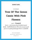 กำมพฤกษ์ ภาษาอังกฤษ?, คำศัพท์ภาษาอังกฤษ กำมพฤกษ์ แปลว่า tree of the genus cassis with pink flowers ประเภท N ตัวอย่าง เหล่าทวยเทพพากันเหาะไปยังต้นกำมพฤกษ์ เพิ่มเติม ต้นไม้ที่ทำขึ้นเนื่องในการทิ้งทานในงานเมรุหลวงและมีลูกมะนาวบรรจุเหรียญเงินห้อยอยู่ตามกิ่งต่างๆ ของต้นไม้นั้น หมวด N