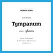 tympanum แปลว่า?, คำศัพท์ภาษาอังกฤษ tympanum แปลว่า หูชั้นกลาง ประเภท N หมวด N