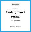 อุโมงค์ใต้ดิน ภาษาอังกฤษ?, คำศัพท์ภาษาอังกฤษ อุโมงค์ใต้ดิน แปลว่า underground tunnel ประเภท N หมวด N