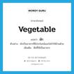 vegetable แปลว่า?, คำศัพท์ภาษาอังกฤษ vegetable แปลว่า ผัก ประเภท N ตัวอย่าง ผักเป็นอาหารที่มีประโยชน์และไม่ทำให้อ้วนด้วย เพิ่มเติม พืชที่ใช้เป็นอาหาร หมวด N