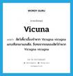 vicuna แปลว่า?, คำศัพท์ภาษาอังกฤษ vicuna แปลว่า สัตว์เคี้ยวเอื้องจำพวก Vicugna vicugna แถบเทือกเขาแอนดีส, สิ่งทอจากขนของสัตว์จำพวก Vicugna vicugna ประเภท N หมวด N