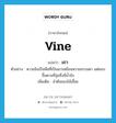 vine แปลว่า?, คำศัพท์ภาษาอังกฤษ vine แปลว่า เถา ประเภท N ตัวอย่าง หวายลิงเป็นพืชที่เป็นเถาเหมือนหวายธรรมดา แต่ชอบขึ้นตามที่ลุ่มซึ่งมีน้ำขัง เพิ่มเติม ลำต้นของไม้เลื้อย หมวด N