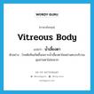 vitreous body แปลว่า?, คำศัพท์ภาษาอังกฤษ vitreous body แปลว่า น้ำเลี้ยงตา ประเภท N ตัวอย่าง โรคต้อหินเกิดขึ้นเพราะน้ำเลี้ยงตาไหลผ่านตรงบริเวณมุมม่านตาไม่สะดวก หมวด N