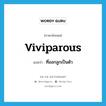 viviparous แปลว่า?, คำศัพท์ภาษาอังกฤษ viviparous แปลว่า ที่ออกลูกเป็นตัว ประเภท ADJ หมวด ADJ