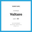 vulture แปลว่า?, คำศัพท์ภาษาอังกฤษ vulture แปลว่า แร้ง ประเภท N หมวด N