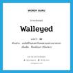 เข ภาษาอังกฤษ?, คำศัพท์ภาษาอังกฤษ เข แปลว่า walleyed ประเภท ADJ ตัวอย่าง เธอไม่มีวันสบตากับคนตาเขอย่างเขาหรอก เพิ่มเติม ที่เหล่น้อยๆ (ใช้แก่ตา) หมวด ADJ