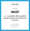 WASP แปลว่า?, คำศัพท์ภาษาอังกฤษ WASP แปลว่า ชาวอเมริกันผิวขาวที่มีบรรพบุรุษเป็นโปรแตสแตนท์, (คำย่อของ White Anglo-Saxon Protestant) ประเภท N หมวด N