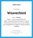 weaverbird แปลว่า?, คำศัพท์ภาษาอังกฤษ weaverbird แปลว่า กระจาบ ประเภท N ตัวอย่าง นกกระจาบเกาะอยู่บนหลังคาบ้าน เพิ่มเติม ชื่อนกขนาดเล็กในวงศ์ Ploceidae มี 3 ชนิด คือ กระจาบธรรมดา กระจาบอกลาย และกระจาบทอง ทำรังด้วยหญ้า ห้อยอยู่กับกิ่งไม้ ปากรังอยู่ด้านล่าง มักอยู่รวมกันเป็นหมู่ กินเมล็ดพืช หมวด N