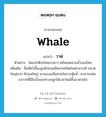 whale แปลว่า?, คำศัพท์ภาษาอังกฤษ whale แปลว่า วาฬ ประเภท N ตัวอย่าง โดยปกติจะไม่พบปลาวาฬในเขตน่านน้ำของไทย เพิ่มเติม ชื่อสัตว์เลี้ยงลูกด้วยนมมีหลายชนิดในหลายวงศ์ ขนาดใหญ่มาก หัวมนใหญ่ หางแบนเพื่อช่วยในการพุ้ยน้ำ สามารถพ่นอากาศที่มีไอน้ำออกทางจมูกได้เวลาโผล่ขึ้นมาหายใจ หมวด N