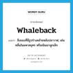 whaleback แปลว่า?, คำศัพท์ภาษาอังกฤษ whaleback แปลว่า สิ่งของที่มีรูปร่างคล้ายหลังปลาวาฬ, เช่น คลื่นในมหาสมุทร หรือเนินเขาลูกเล็ก ประเภท N หมวด N