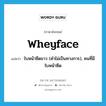 wheyface แปลว่า?, คำศัพท์ภาษาอังกฤษ wheyface แปลว่า ใบหน้าซีดขาว (คำไม่เป็นทางการ), คนที่มีใบหน้าซีด ประเภท N หมวด N