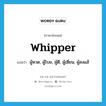 whipper แปลว่า?, คำศัพท์ภาษาอังกฤษ whipper แปลว่า ผู้หวด, ผู้โบย, ผู้ตี, ผู้เฆี่ยน, ผู้ลงแส้ ประเภท N หมวด N