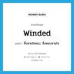 winded แปลว่า?, คำศัพท์ภาษาอังกฤษ winded แปลว่า ซึ่งหายใจหอบ, ซึ่งหอบหายใจ ประเภท ADJ หมวด ADJ