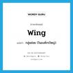 wing แปลว่า?, คำศัพท์ภาษาอังกฤษ wing แปลว่า กลุ่มย่อย (ในองค์กรใหญ่) ประเภท N หมวด N