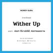 wither up แปลว่า?, คำศัพท์ภาษาอังกฤษ wither up แปลว่า ค่อยๆ ใช้งานไม่ได้, ค่อยๆหมดสภาพ ประเภท PHRV หมวด PHRV