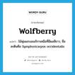 wolfberry แปลว่า?, คำศัพท์ภาษาอังกฤษ wolfberry แปลว่า ไม้พุ่มแถบอเมริกาเหนือที่มีผลสีขาว, ชื่อละตินคือ Symphoricarpos occidentalis ประเภท N หมวด N