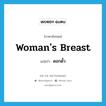 woman&#39;s breast แปลว่า?, คำศัพท์ภาษาอังกฤษ woman&#39;s breast แปลว่า ดอกดั้ว ประเภท N หมวด N