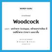 woodcock แปลว่า?, คำศัพท์ภาษาอังกฤษ woodcock แปลว่า นกจำพวก Scolopax, คล้ายนกปากส้อม มีขนสีน้ำตาล ปากยาว และขาสั้น ประเภท N หมวด N