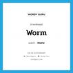 worm แปลว่า?, คำศัพท์ภาษาอังกฤษ worm แปลว่า หนอน ประเภท N หมวด N