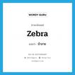 zebra แปลว่า?, คำศัพท์ภาษาอังกฤษ zebra แปลว่า ม้าลาย ประเภท N หมวด N